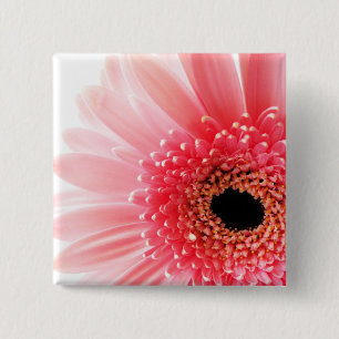 Gerbera 2 Inch Square Button