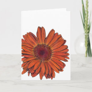 Gerbera All-Occasion Card
