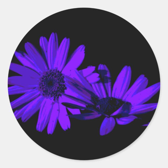 Gerbera at night 1 classic round sticker (Front)