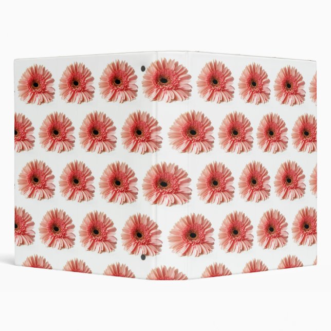 Gerbera Binder (Background)