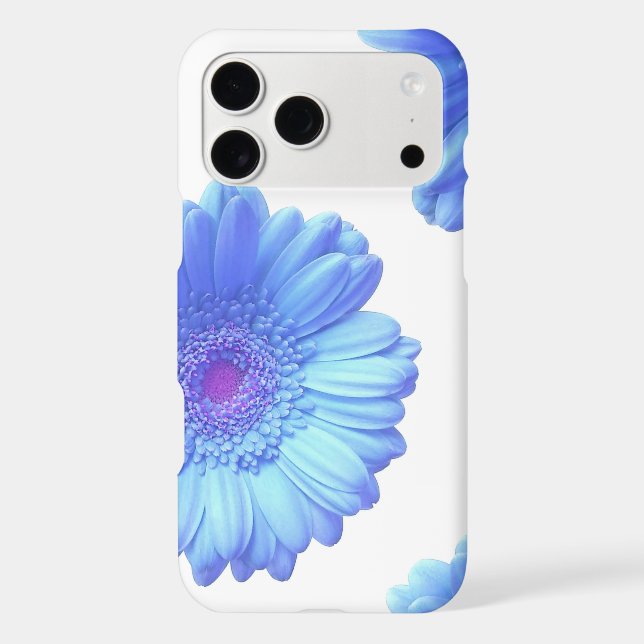 Gerbera bleu marguerite (Verso)