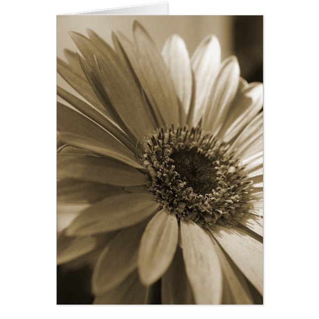 Gerbera Card (Front)