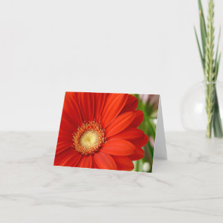 Gerbera Card