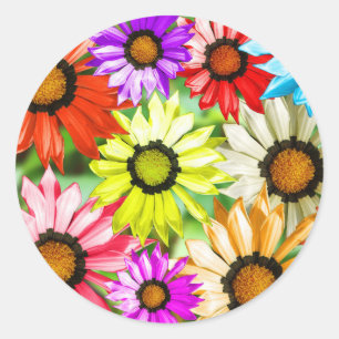 Gerbera colourful flower floral classic round sticker