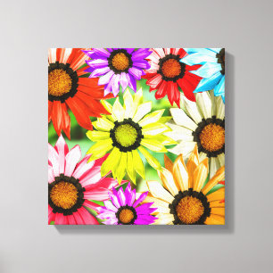 Gerbera colourful flowers canvas print