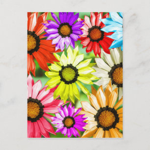 Gerbera colourful flowers postcard
