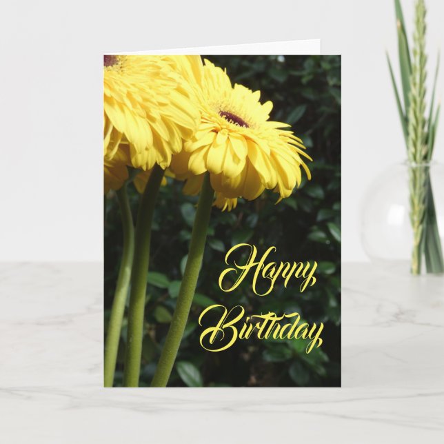 "Gerbera Daisies 1." Birthday Greeting Card (Front)