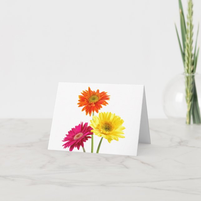 Gerbera Daisies Card (Front)