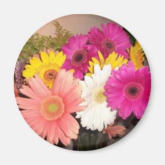 Gerbera Daisies Magnet