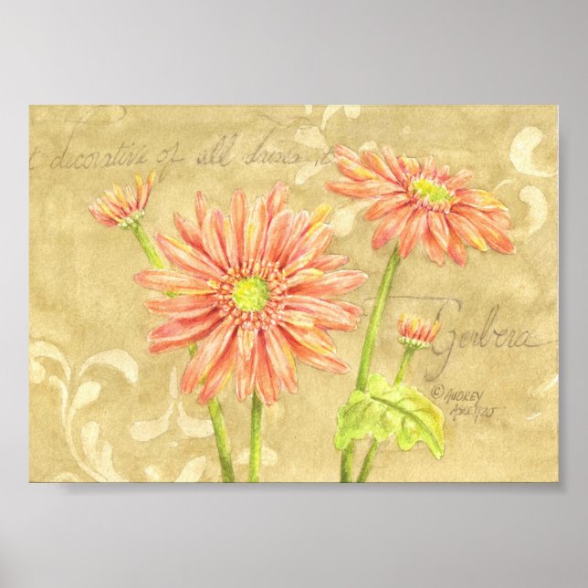 Gerbera Daisies Notes du jardin Poster 7x5 (Devant)