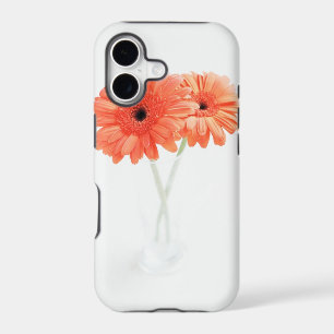 Gerbera Daisies, Orange