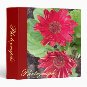 Gerbera Daisies Photo Binder