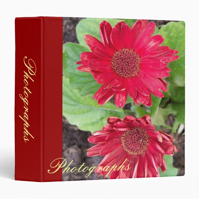 Gerbera Daisies Photo Binder (Front/Spine)