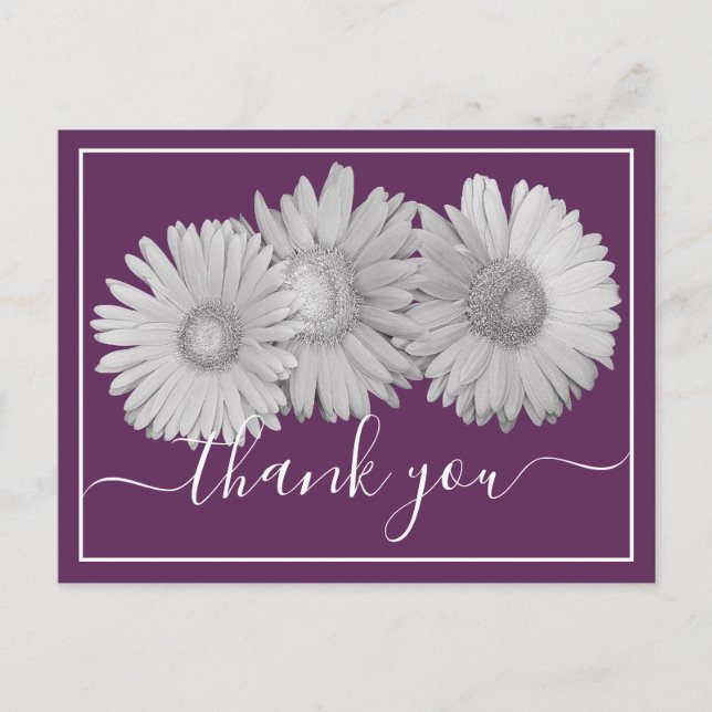 Gerbera Daisies Purple Background Thank You Postcard (Front)
