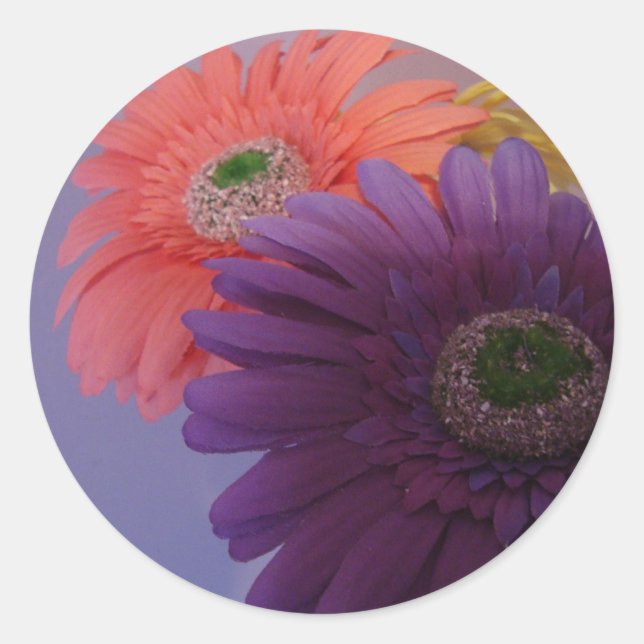 Gerbera Daisies - Stickers (Front)