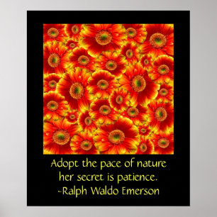 Gerbera Daisies with Quote Poster