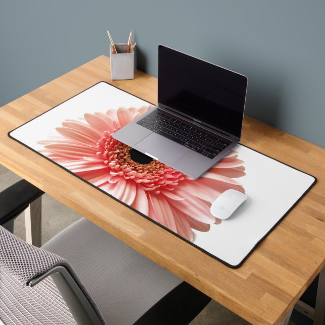 Gerbera Daisy (Bureau 2)