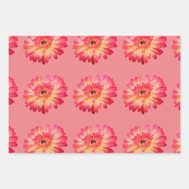 Gerbera Daisy and Teal Butterfly Gift Wrap (Front)