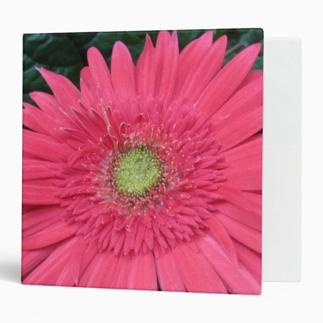 Gerbera Daisy Binder (Front/Inside)