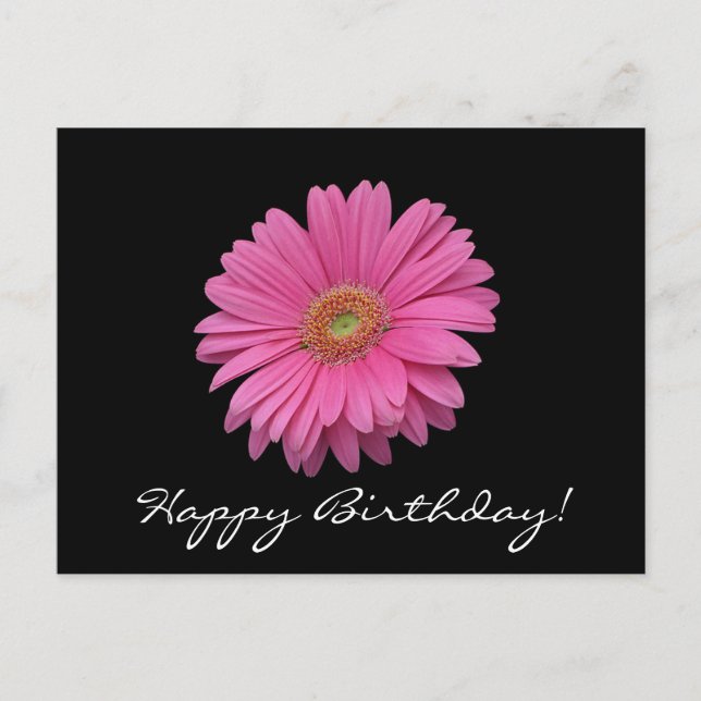 Gerbera Daisy Bonne carte postale d'anniversaire (Devant)