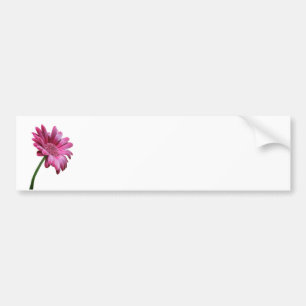 Gerbera Daisy Bumper Sticker