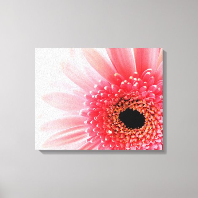 Gerbera Daisy   Canvas Print (Front)
