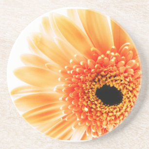 Gerbera Daisy Coaster