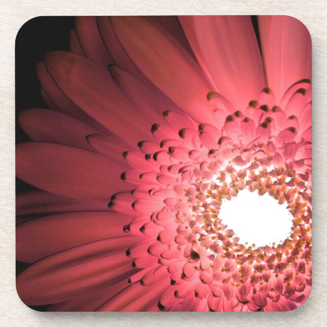 Gerbera Daisy Coaster (Front)