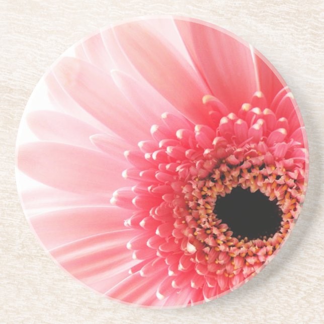 Gerbera Daisy Coaster (Front)