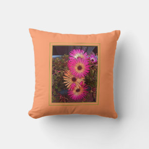 Gerbera Daisy Coussins américains MoJo