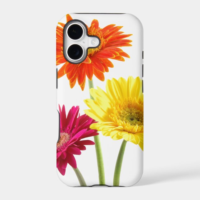 Gerbera Daisy Delight (Back)
