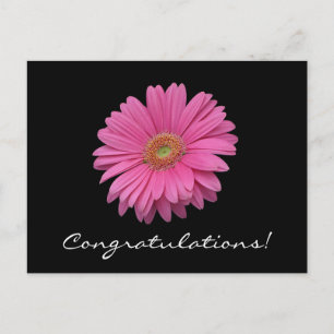 Gerbera Daisy Félicitations Carte Postale