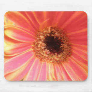 Gerbera Daisy Flower Mousepad