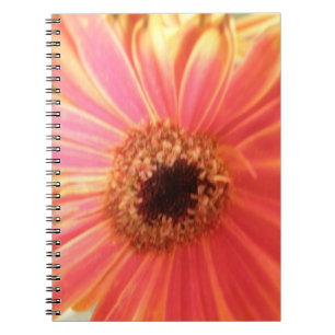 Gerbera Daisy Flower Notebook