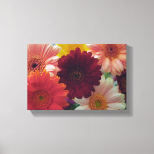 Gerbera Daisy Flower Photo Canvas Wall Art Print