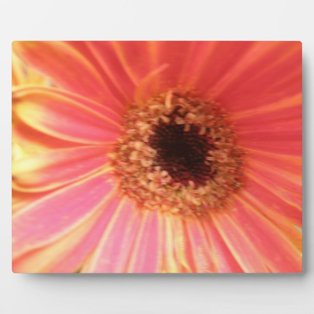 Gerbera Daisy Flower Plaque (Front)