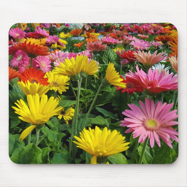 Gerbera Daisy Garden Mouse Pad (Front)