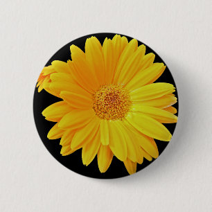 Gerbera Daisy (Gerbera hybrida) - Yellow 2 Inch Round Button