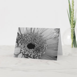 Gerbera Daisy Holiday Card
