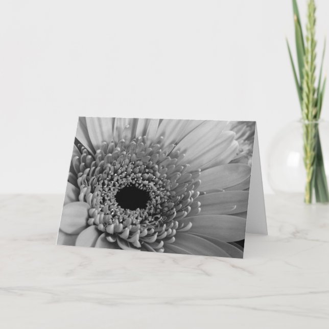 Gerbera Daisy Holiday Card (Front)