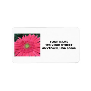 Gerbera Daisy Label