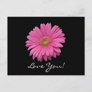 Gerbera Daisy Love You Postcard