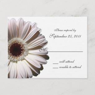 Gerbera Daisy Mariage/ Réponse