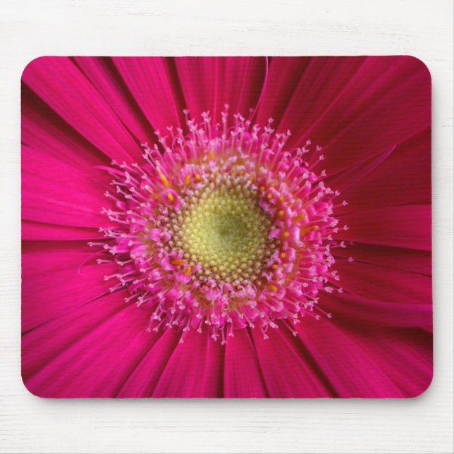 Gerbera Daisy Mouse Pad (Front)