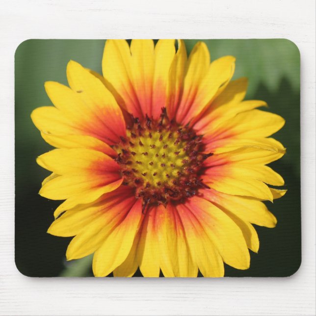Gerbera Daisy Mouse Pad (Front)