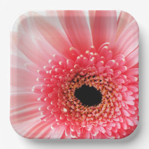Gerbera Daisy   Paper Plate