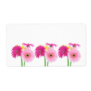 Gerbera Daisy Piink Fleurs