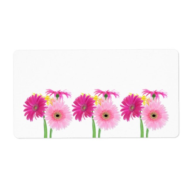 Gerbera Daisy Piink Fleurs (Devant)