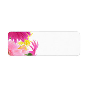 Gerbera Daisy Piink Flowers
