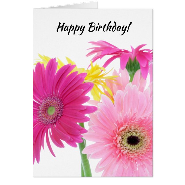 Gerbera Daisy Piink Flowers (Front)